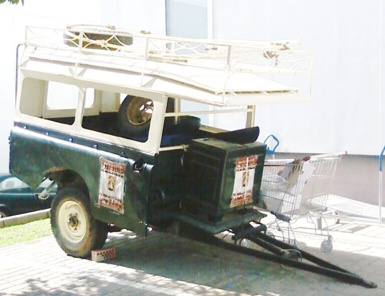 carriola-rocio-bajo-coste