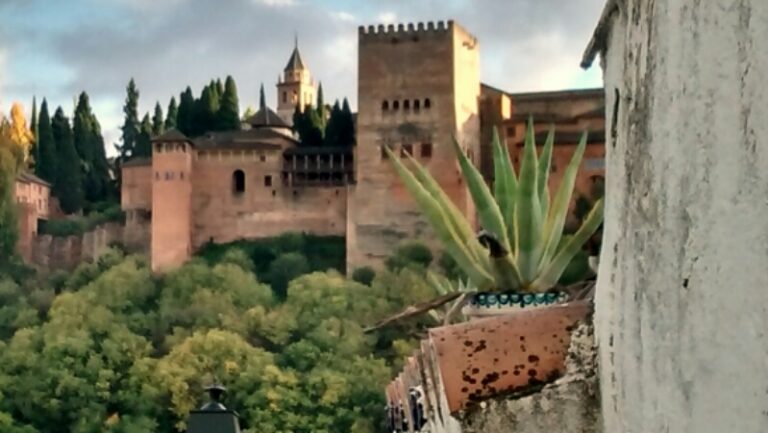 wpid-img_20141120_191801