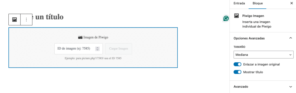Menú para la inserción de imágenes individuales